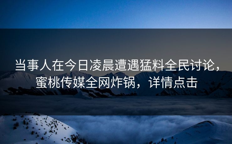 当事人在今日凌晨遭遇猛料全民讨论，蜜桃传媒全网炸锅，详情点击