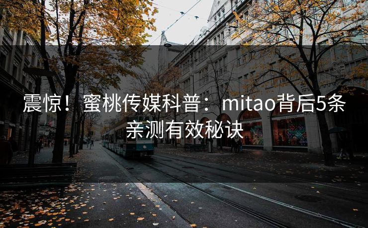 震惊!蜜桃传媒科普:mitao背后5条亲测有效秘诀 第1张 震惊!蜜桃传媒科普:mitao背后5条亲测有效秘诀 第1张